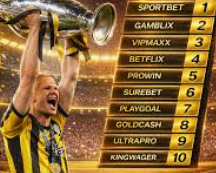 เทคนิคจัดพอร์ตการลงทุนกีฬา ufabet ให้เติบโตอย่างยั่งยืน